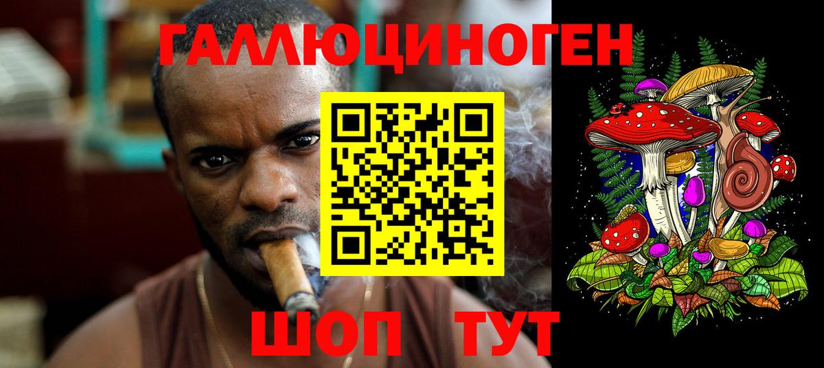 Псилоцибиновые грибы ЛСД Качканар