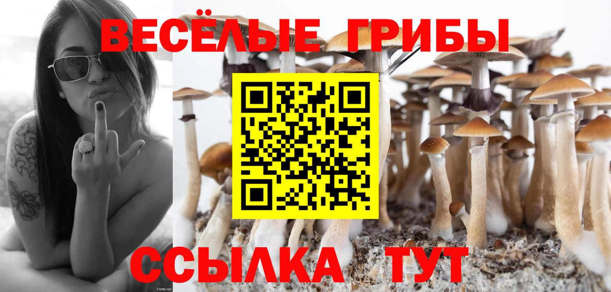 Псилоцибиновые грибы MAGIC MUSHROOMS  Псилоцибиновые грибы мицелий  Качканар  закладки  Вход с VPN 